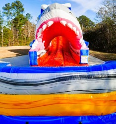 jaws2 1709133929 SHARK ATTIC 22FT( double lane hybrid)